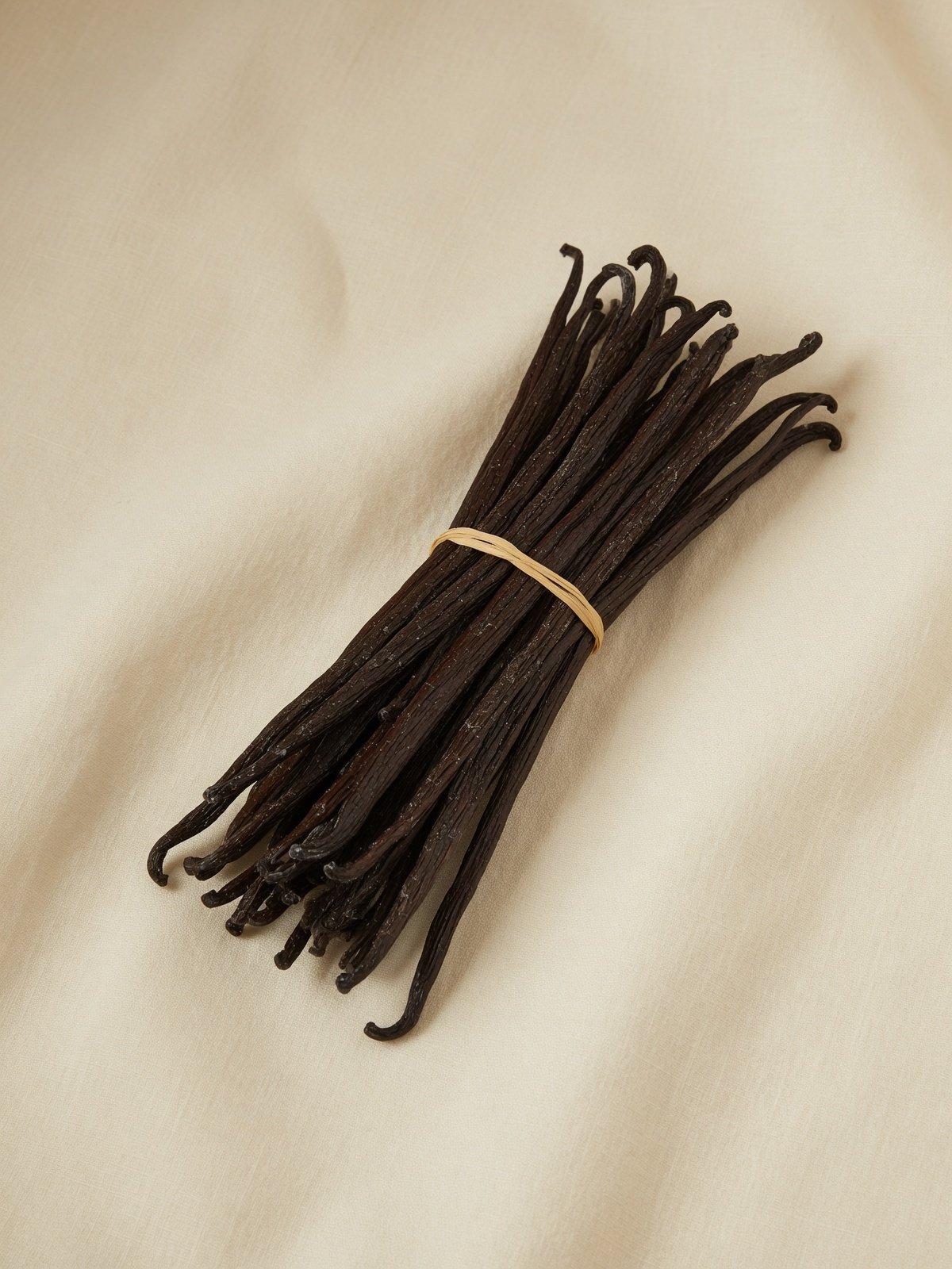 Cured Indonesian planifolia vanilla bean pods resting on ivory linen